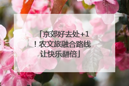京郊好去处+1！农文旅融合路线让快乐翻倍