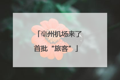 亳州机场来了首批“旅客”