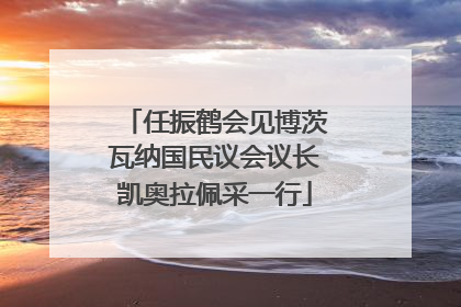 任振鹤会见博茨瓦纳国民议会议长凯奥拉佩采一行