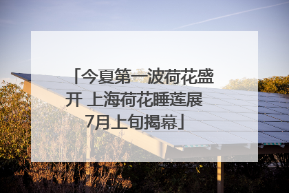 今夏第一波荷花盛开 上海荷花睡莲展7月上旬揭幕
