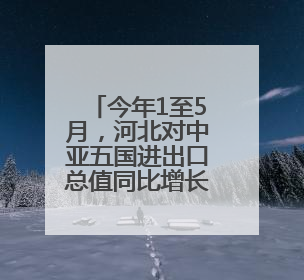 今年1至5月，河北对中亚五国进出口总值同比增长1.1倍