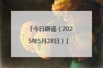 今日辟谣（2025年5月28日）