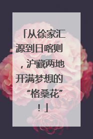 从徐家汇源到日喀则，沪藏两地开满梦想的“格桑花”！