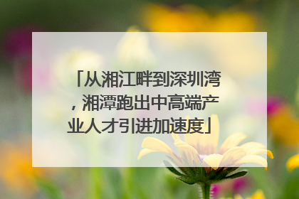 从湘江畔到深圳湾，湘潭跑出中高端产业人才引进加速度