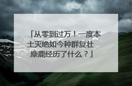 从零到过万！一度本土灭绝如今种群复壮 麋鹿经历了什么？