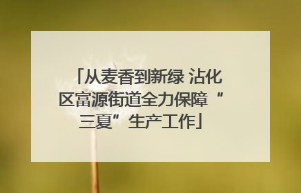 从麦香到新绿 沾化区富源街道全力保障“三夏”生产工作