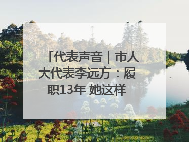 代表声音｜市人大代表李远方：履职13年 她这样“找”建议