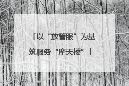 以“放管服”为基筑服务“摩天楼”