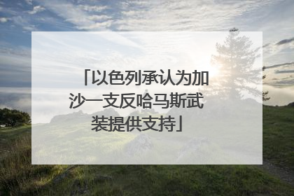 以色列承认为加沙一支反哈马斯武装提供支持