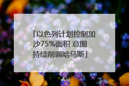 以色列计划控制加沙75%面积 意图持续削弱哈马斯