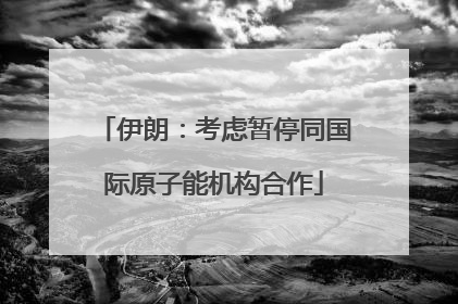 伊朗：考虑暂停同国际原子能机构合作