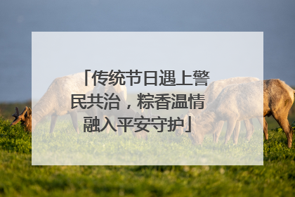 传统节日遇上警民共治，粽香温情融入平安守护