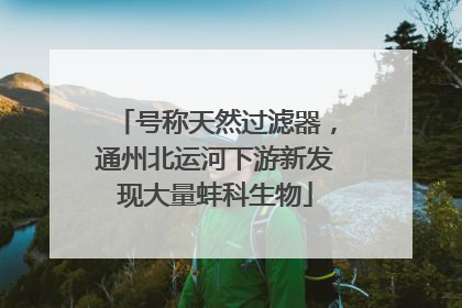 号称天然过滤器，通州北运河下游新发现大量蚌科生物