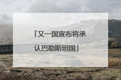 又一国宣布将承认巴勒斯坦国