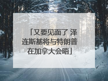 又要见面了 泽连斯基将与特朗普在加拿大会晤