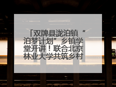 双牌县泷泊镇“泊梦计划”乡镇学堂开讲！联合北京林业大学共筑乡村教育新未来