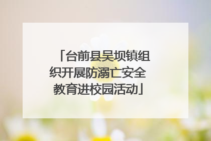 台前县吴坝镇组织开展防溺亡安全教育进校园活动