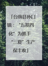 台前县孙口镇：“五基四化”为抓手 “三夏”生产保丰收