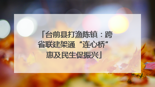 台前县打渔陈镇：跨省联建架通“连心桥” 惠及民生促振兴