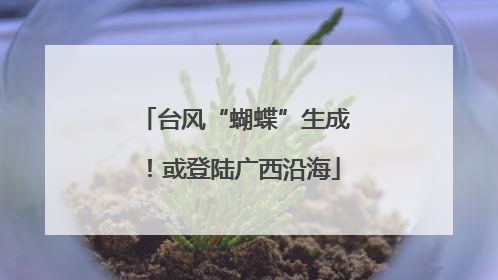 台风“蝴蝶”生成！或登陆广西沿海