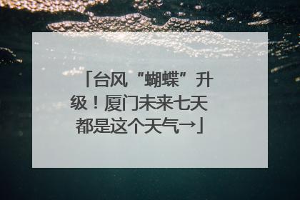 台风“蝴蝶”升级！厦门未来七天都是这个天气→