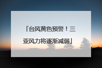 台风黄色预警！三亚风力将逐渐减弱