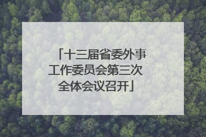 十三届省委外事工作委员会第三次全体会议召开