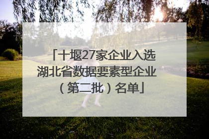 十堰27家企业入选湖北省数据要素型企业（第二批）名单