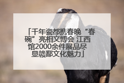 千年瓷都携春晚“春碗”亮相文博会 江西馆2000余件展品尽显赣鄱文化魅力