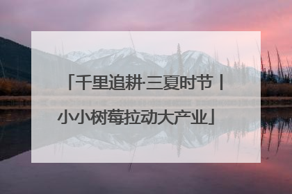 千里追耕·三夏时节丨小小树莓拉动大产业