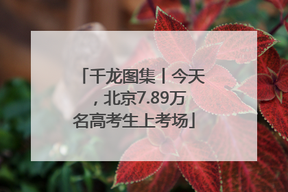 千龙图集丨今天，北京7.89万名高考生上考场