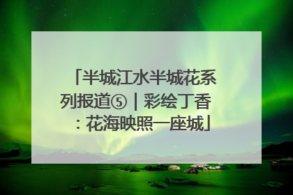 半城江水半城花系列报道⑤｜彩绘丁香：花海映照一座城