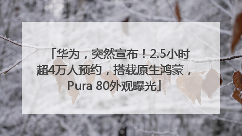 华为，突然宣布！2.5小时超4万人预约，搭载原生鸿蒙，Pura 80外观曝光