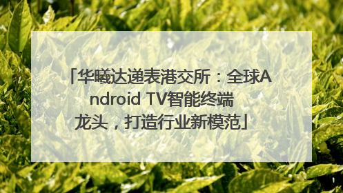 华曦达递表港交所：全球Android TV智能终端龙头，打造行业新模范