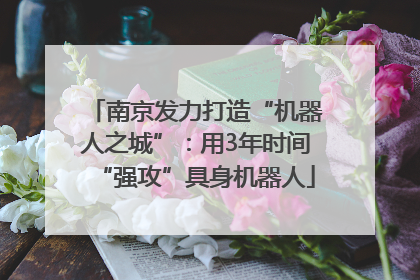 南京发力打造“机器人之城”：用3年时间“强攻”具身机器人