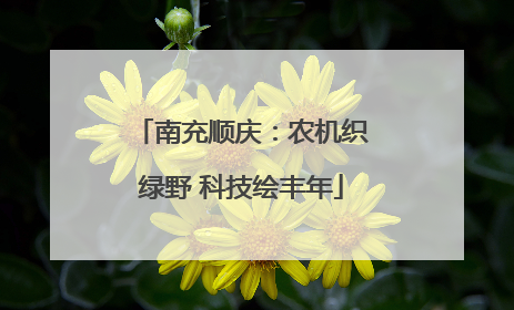 南充顺庆：农机织绿野 科技绘丰年
