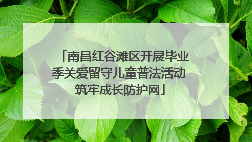 南昌红谷滩区开展毕业季关爱留守儿童普法活动 筑牢成长防护网