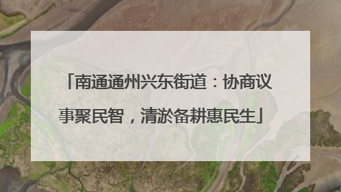 南通通州兴东街道：协商议事聚民智，清淤备耕惠民生