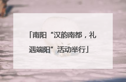 南阳“汉韵南都，礼遇端阳”活动举行