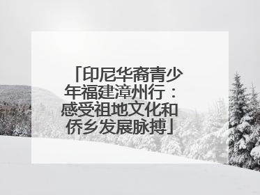 印尼华裔青少年福建漳州行：感受祖地文化和侨乡发展脉搏