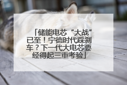 储能电芯“大战”已至！宁德时代踩刹车？下一代大电芯要经得起三重考验