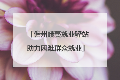 儋州峨蔓就业驿站助力困难群众就业