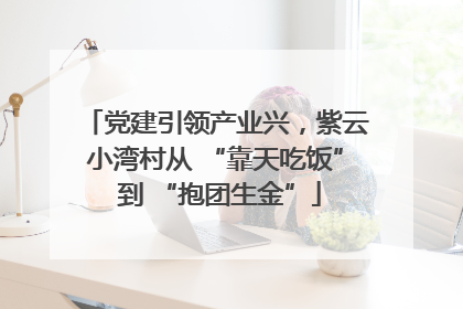 党建引领产业兴，紫云小湾村从 “靠天吃饭” 到 “抱团生金”