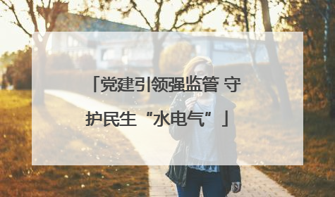 党建引领强监管 守护民生“水电气”