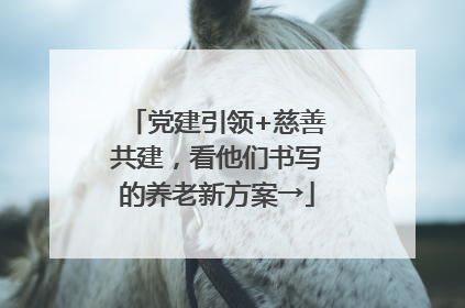 党建引领+慈善共建，看他们书写的养老新方案→