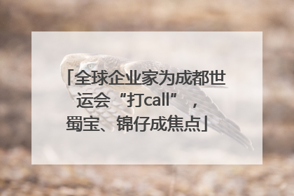 全球企业家为成都世运会“打call”，蜀宝、锦仔成焦点