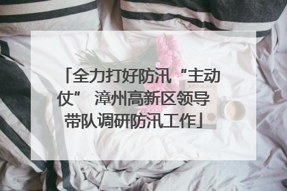 全力打好防汛“主动仗” 漳州高新区领导带队调研防汛工作