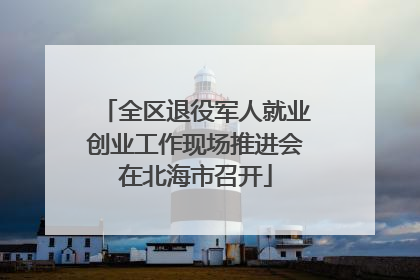 全区退役军人就业创业工作现场推进会在北海市召开