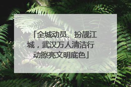 全城动员、扮靓江城，武汉万人清洁行动擦亮文明底色