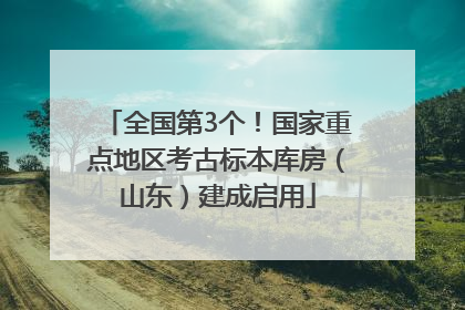 全国第3个！国家重点地区考古标本库房（山东）建成启用